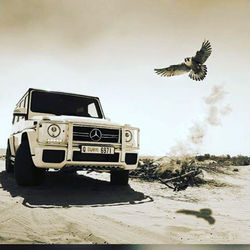 Are you coming to Dubaï __Do you want to be a part of the amazing lifestyle Dubaï could provide you