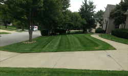 10668950_801369149914011_880916952115810