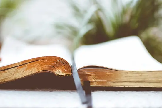 photo-1472905981516-5ac09f35b7f4.webp