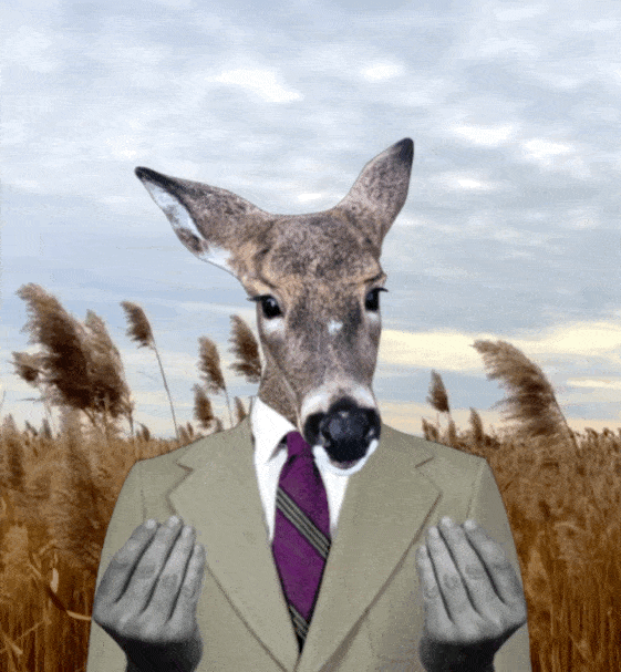lyle ponders-min.gif