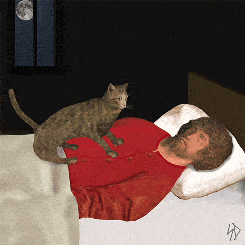 cat wake up _ james kerr.gif