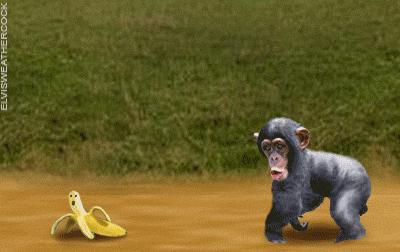 banana chimp chase _ elvis weatehrcock.g