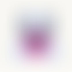 Organize your Business