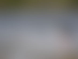 Zakhar Lake by Morning