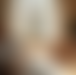 Uma área de estar tranquila e amiga dos animais, com decoração segura.