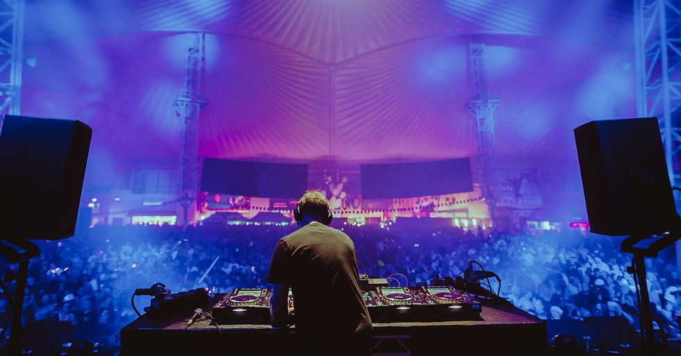 DJ seen from behind mixing at a packed concert under blue-purple lights, with huge crowd and speakers on both sides.