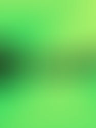 Spotify Donates $150,000 to Trump's Inauguration Ceremony