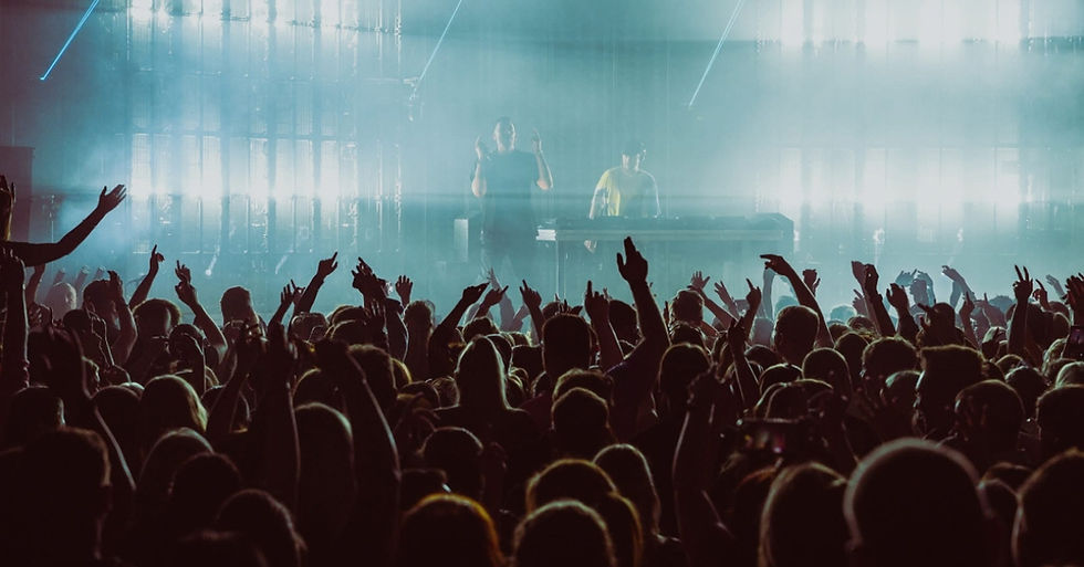 Crowd with raised hands at a smoky concert, singer and DJ on stage under blue lights, energetic and excited mood