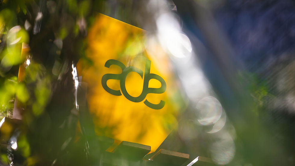 ADE Lightbox