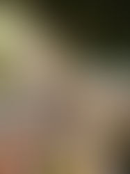 Junction 2 Sets Out Its Future With Phase One Lineup Announcement