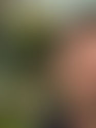 A man with a contemplative expression stands in a garden, with blurred autumn leaves in the background. Overcast sky sets a calm mood.