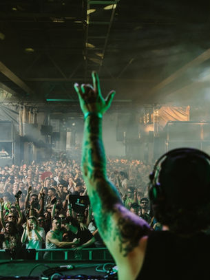 DJ raises hands on stage at outdoor concert under bridge. Crowd cheers amidst smoke, trees in background, lively atmosphere.