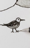208c1e47-2449-457e-9b76-74a2a9e6233f_edit-image_edited.jpg