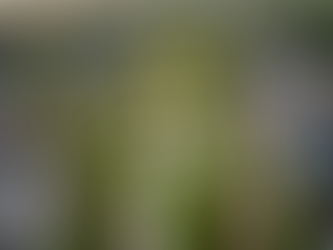 Transforming Land into Thriving Communities in Eastern North Carolina