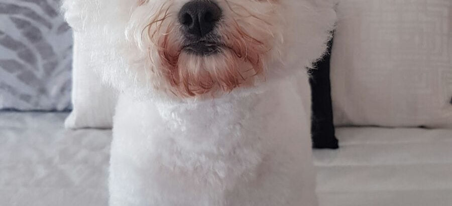 DÍA A DÍA