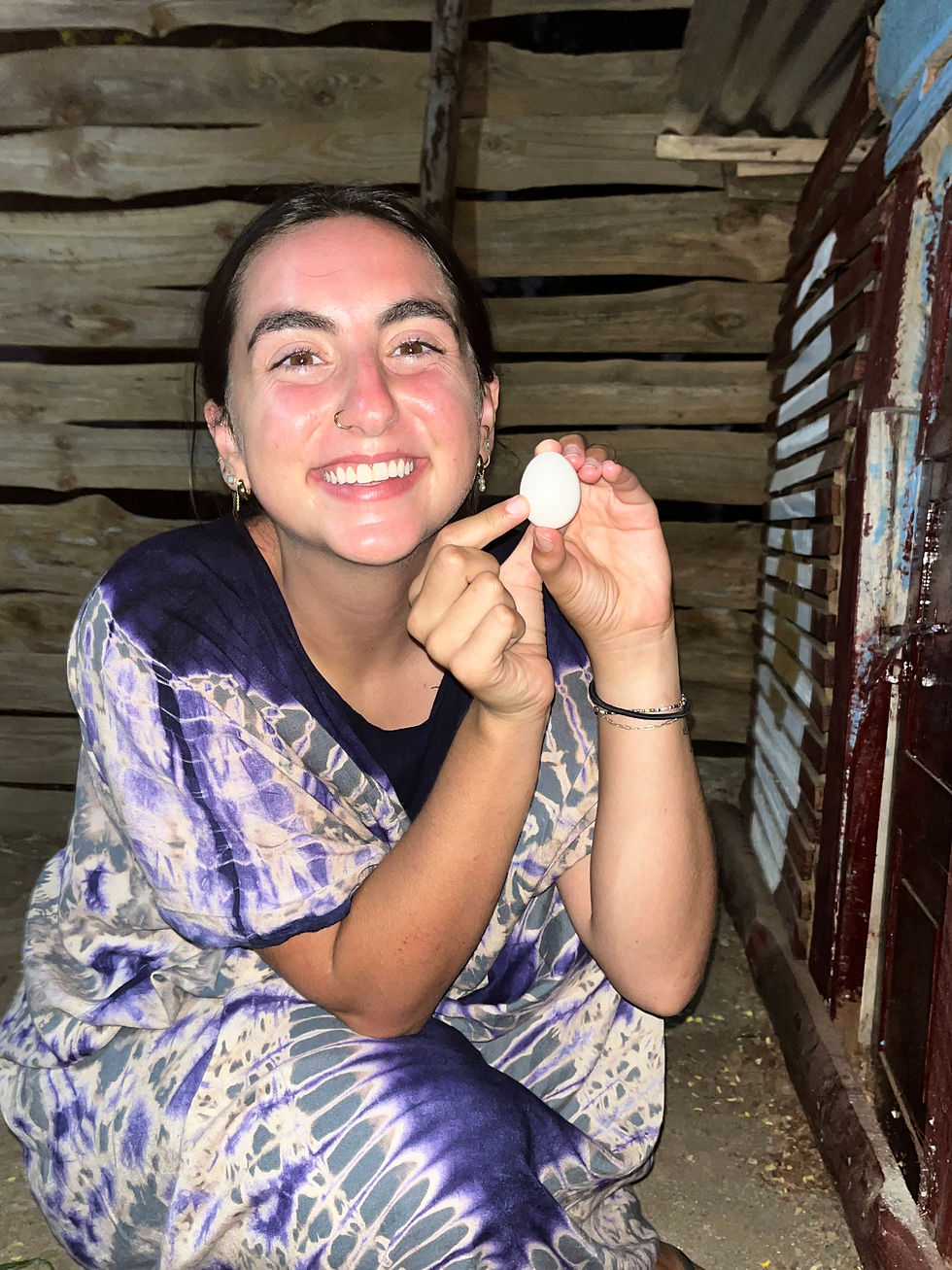 Collecting my first egg!