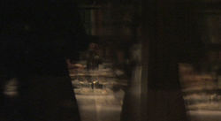 Willa Zauroczonych_11