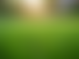 Discover Reliable Lawn Care Options: Top Lawn Care Services in St. Louis