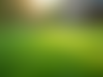 The Benefits of Lawn Care Service Agreements and Why They Matter