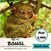 BOHOL.jpg