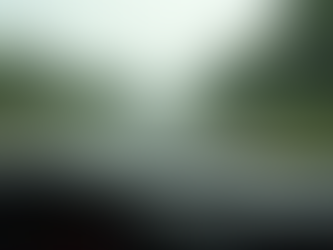 Plan the Perfect Taj Mahal Road Trip