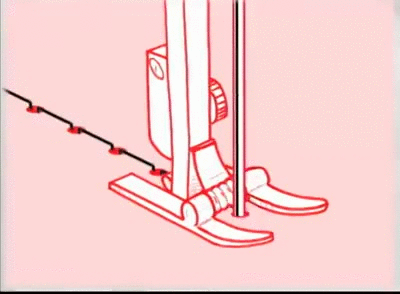 Cucito
