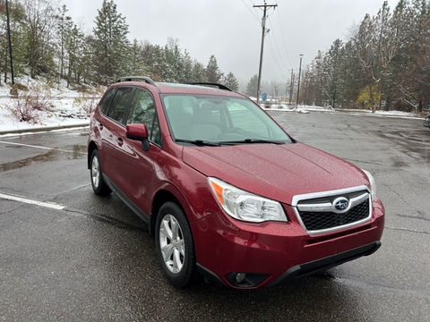 Red Forester