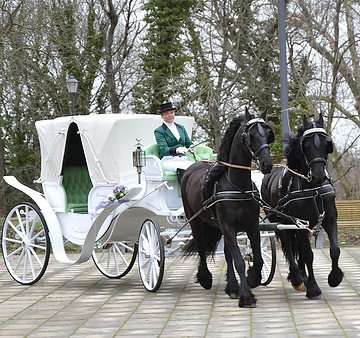 _Brautpaar_2012_Radisson_Merseburg_April