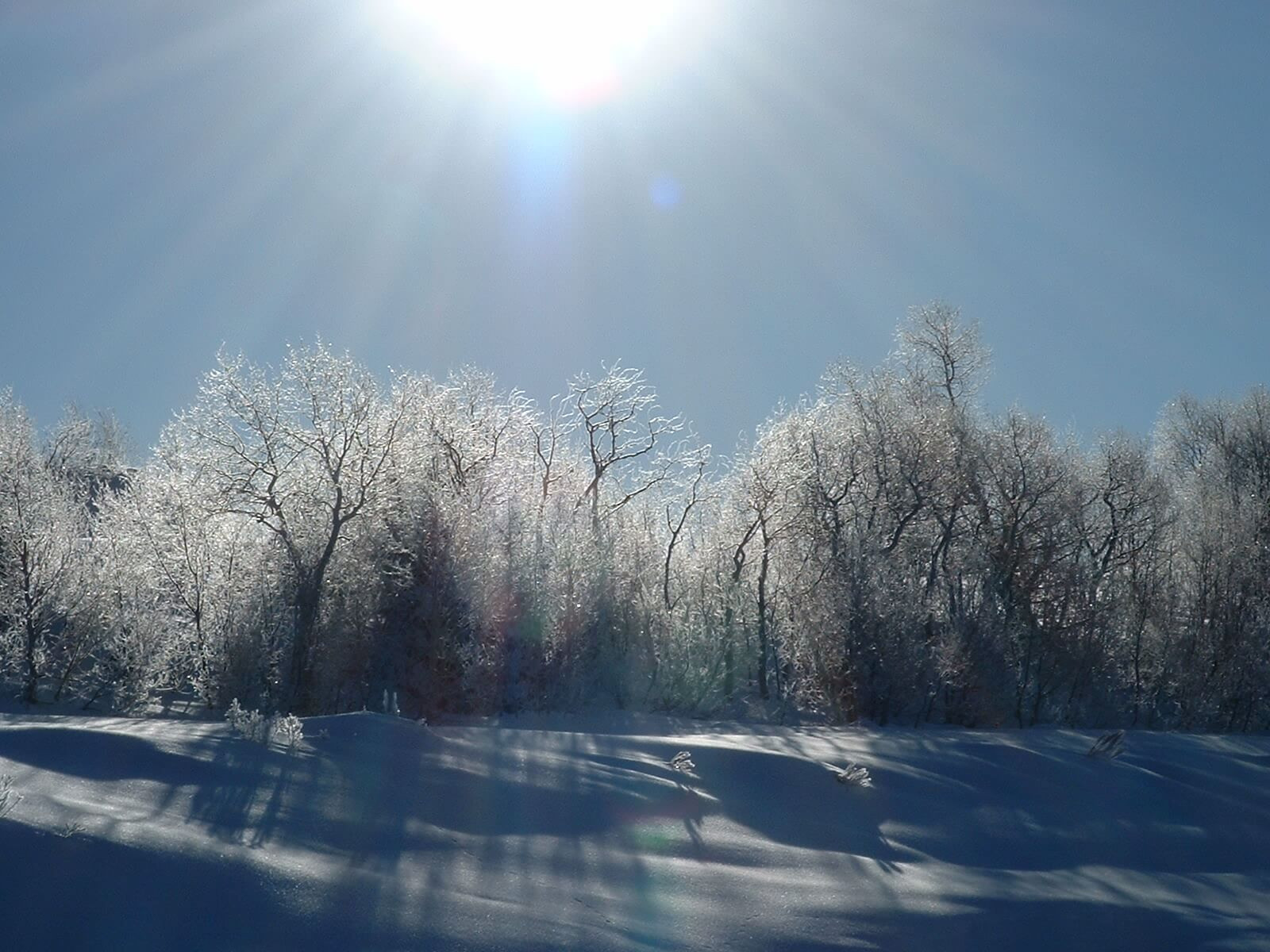 Men are that they might have joy_1.jpg