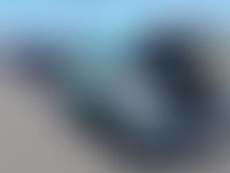 Get Ready for Sea Isle City's 2024 Skimmer Festival Weekend!