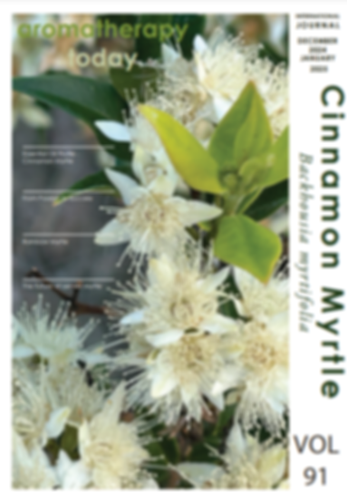 Screenshot 2024-11-08 11.51.26.png