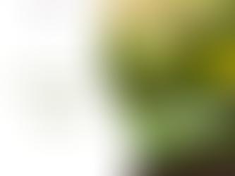 Toprak Elementi ve Yas Süreci