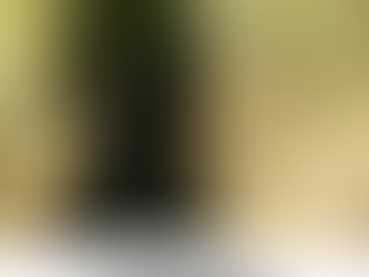 YOGA’DA IZDIRAPTAN ARINMANIN YOLU / AHAMKARA