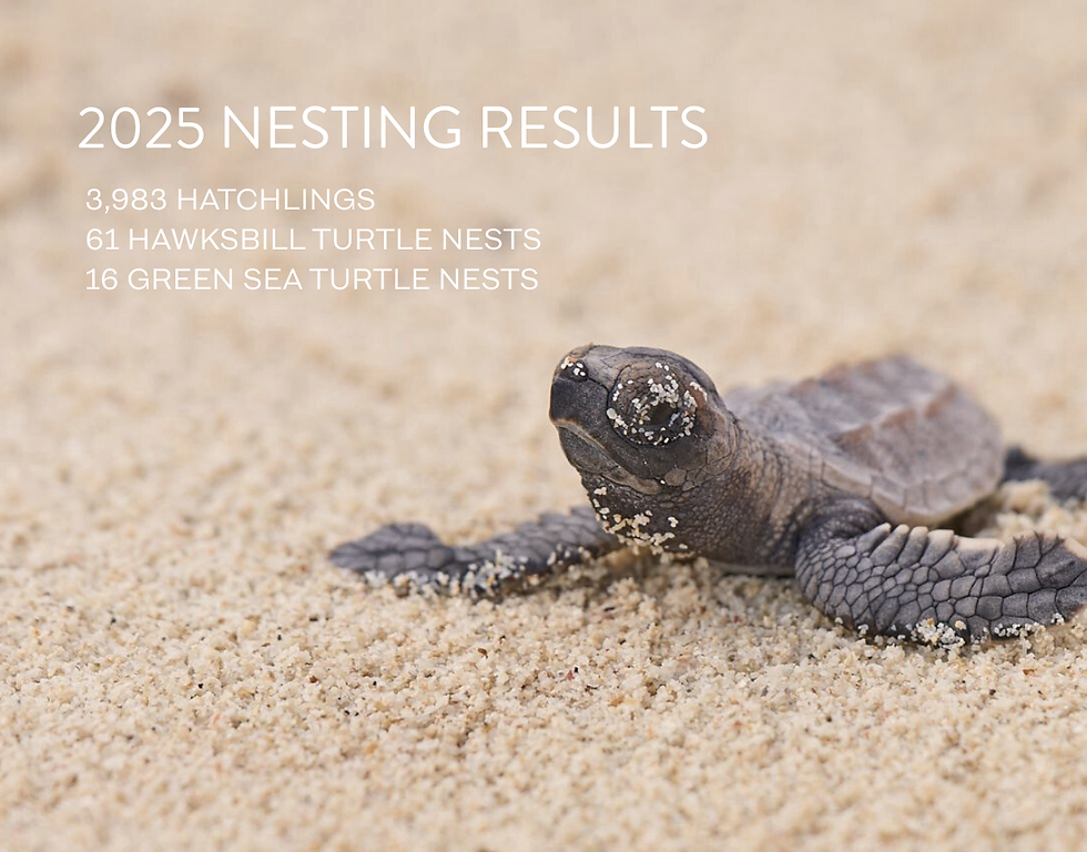 A panel discussion at the 2025 Ubud writers and readers festival