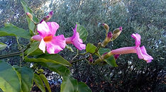 P_20201230_155303.jpg