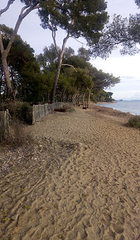 P_20201227_152549.jpg