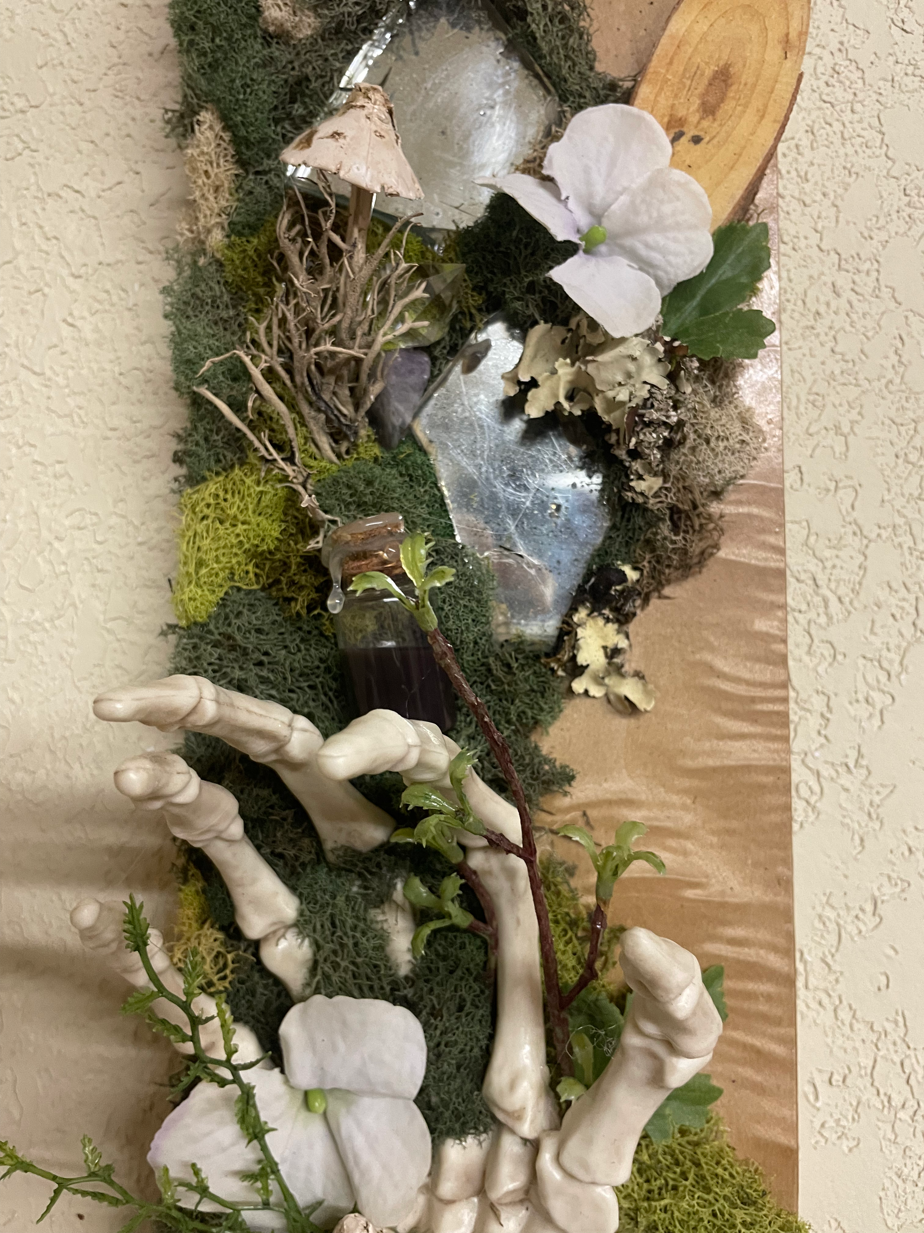 The Forest Remembers