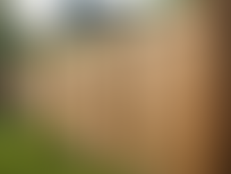 Top 10 Essential Installation Tips for Building a Durable Wood Fence