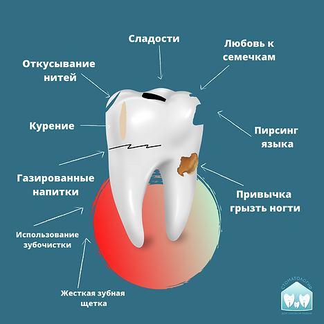 зуб (1).png