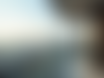 Innovative High-Rise Apartment Solutions with Invisible Grills