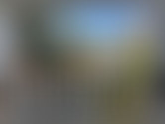 Uncovering the Mystery: The Unseen Advantages of Invisible Grills