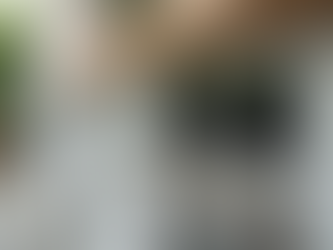 The Ultimate Guide to Premium Invisible Grill Installation