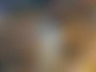 Unveiling the Untold: The Latest Advancements in Invisible Grill Technology - YPL Invisible Grill 07.04.2025 Update