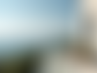 Top Invisible Grill Dealers You Can Find Near You