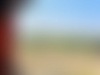 Balcony Invisible Grill Price Comparison: What to Expect