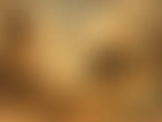 Quando a licença de exportação é exigida