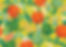 Corrigans_Citrus_FullFlat_edited.jpg