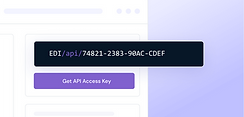 EDI API Server- Image.png