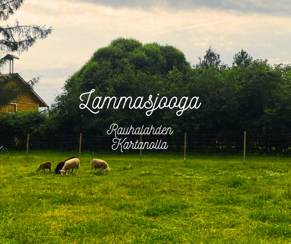 Lammasjoogaa Rauhalahden Kartanolla