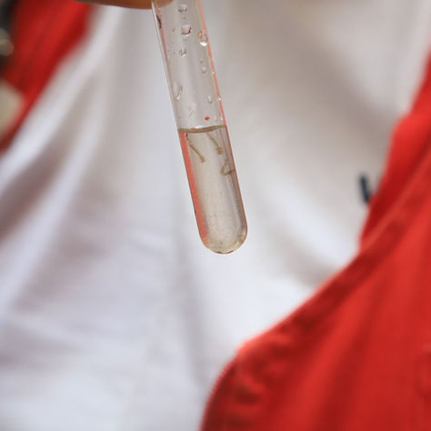 Mauá realiza uma série de ações preventivas contra dengue